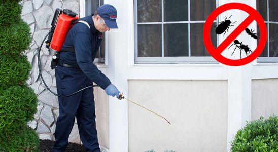 Köse Gümüşkurt İlaçlama böcek ilaçlama ve haşere kontrolü — ilaclama-tr.com